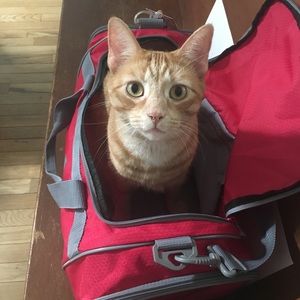 Meet your Posher, Christie